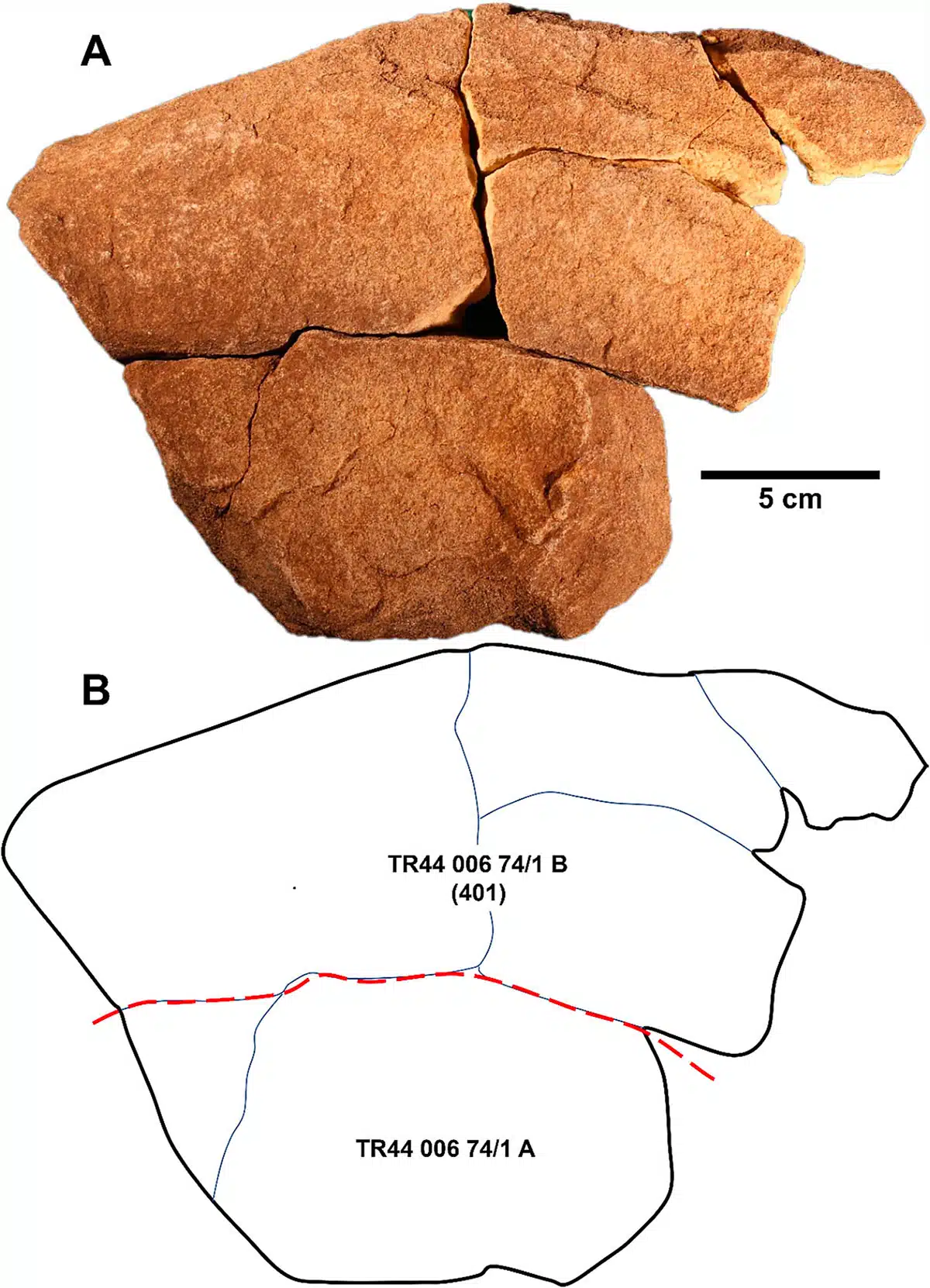 Des scientifiques résolvent le mystère ancien des gigantesques piliers de pierre de Stonehenge 4